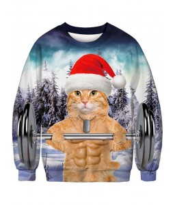 3D Christmas Cat Print Crew Neck Sweatshirt - M